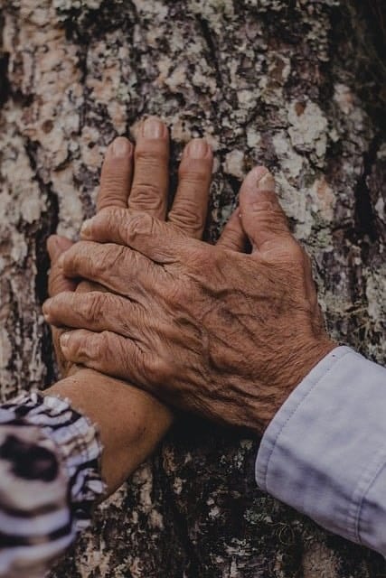 How Can the Couples Therapist in Aiville Help Couples with Problems?